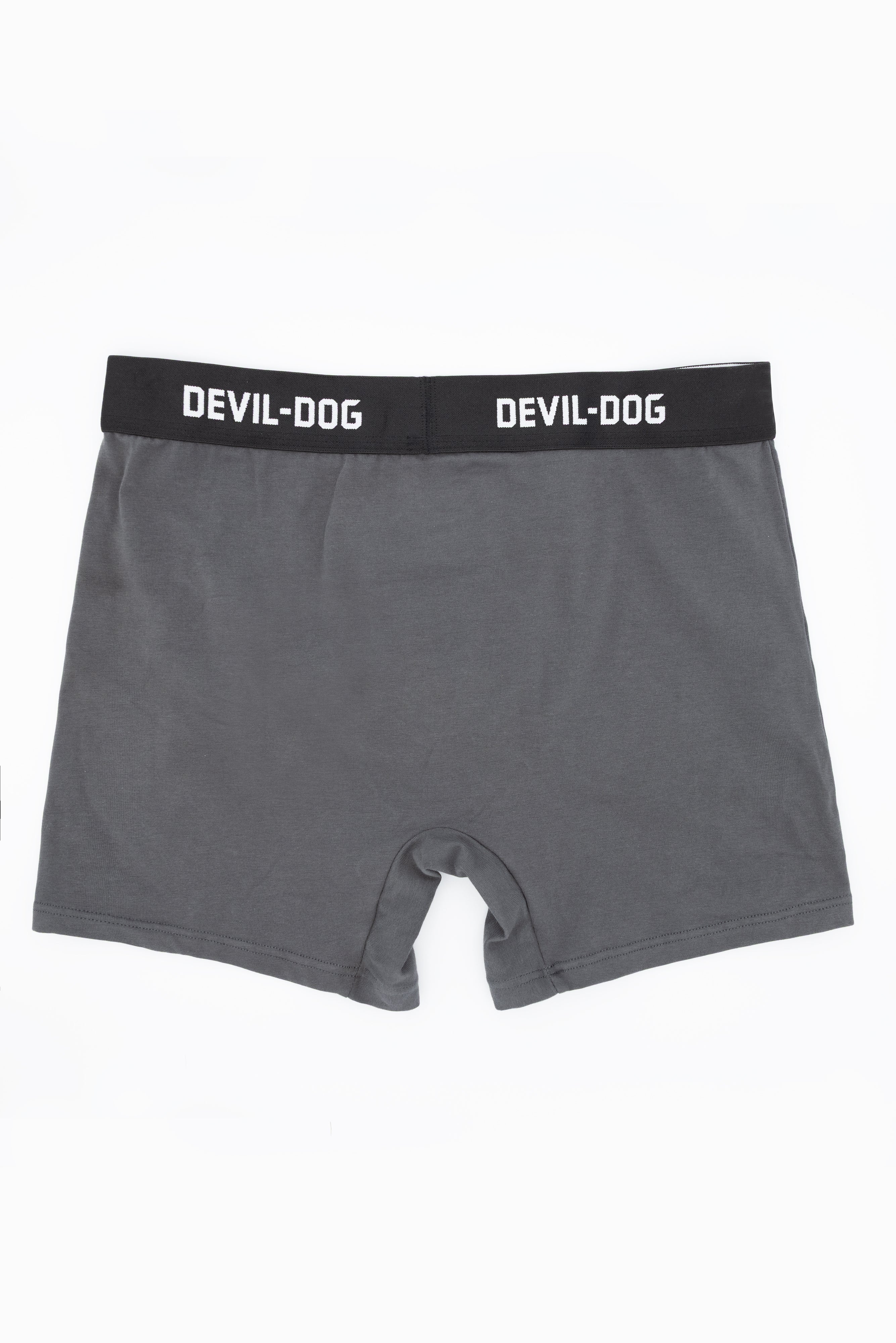 Boxer Brief All-Around Logo - Dark Gray - Image 4